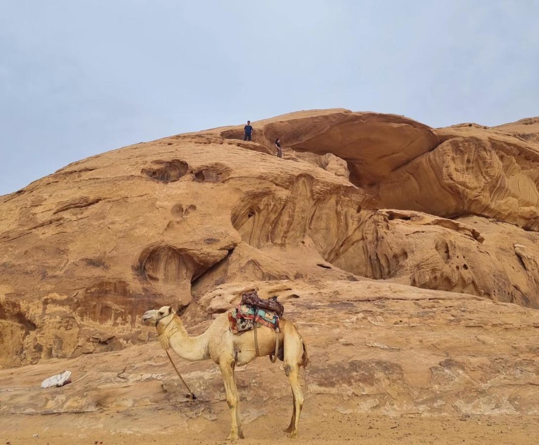 Wadi Rum Hugo Camp Dış mekan fotoğraf