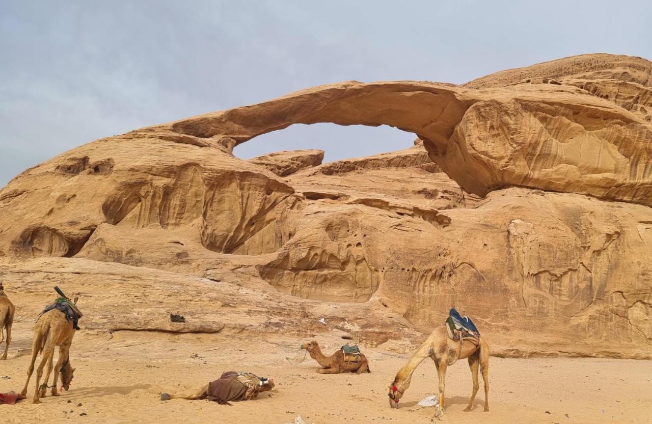 Wadi Rum Hugo Camp Dış mekan fotoğraf